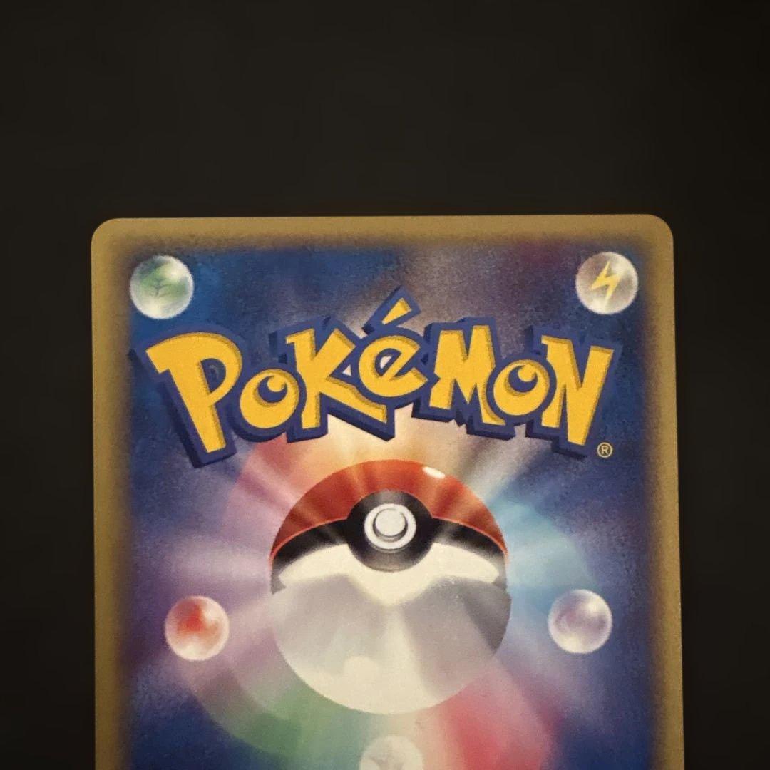 リザード・カメール・トレーナーズマガジンプロモまとめ売