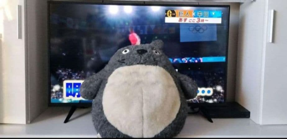 希少レア品 サンアロー製　ジブリ　35年製品　BIG　ぬいぐるみ　となりのトトロ