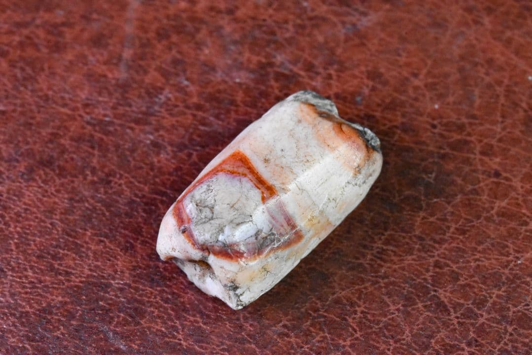 西アジア出土 アンティークカーネリアンビーズ01