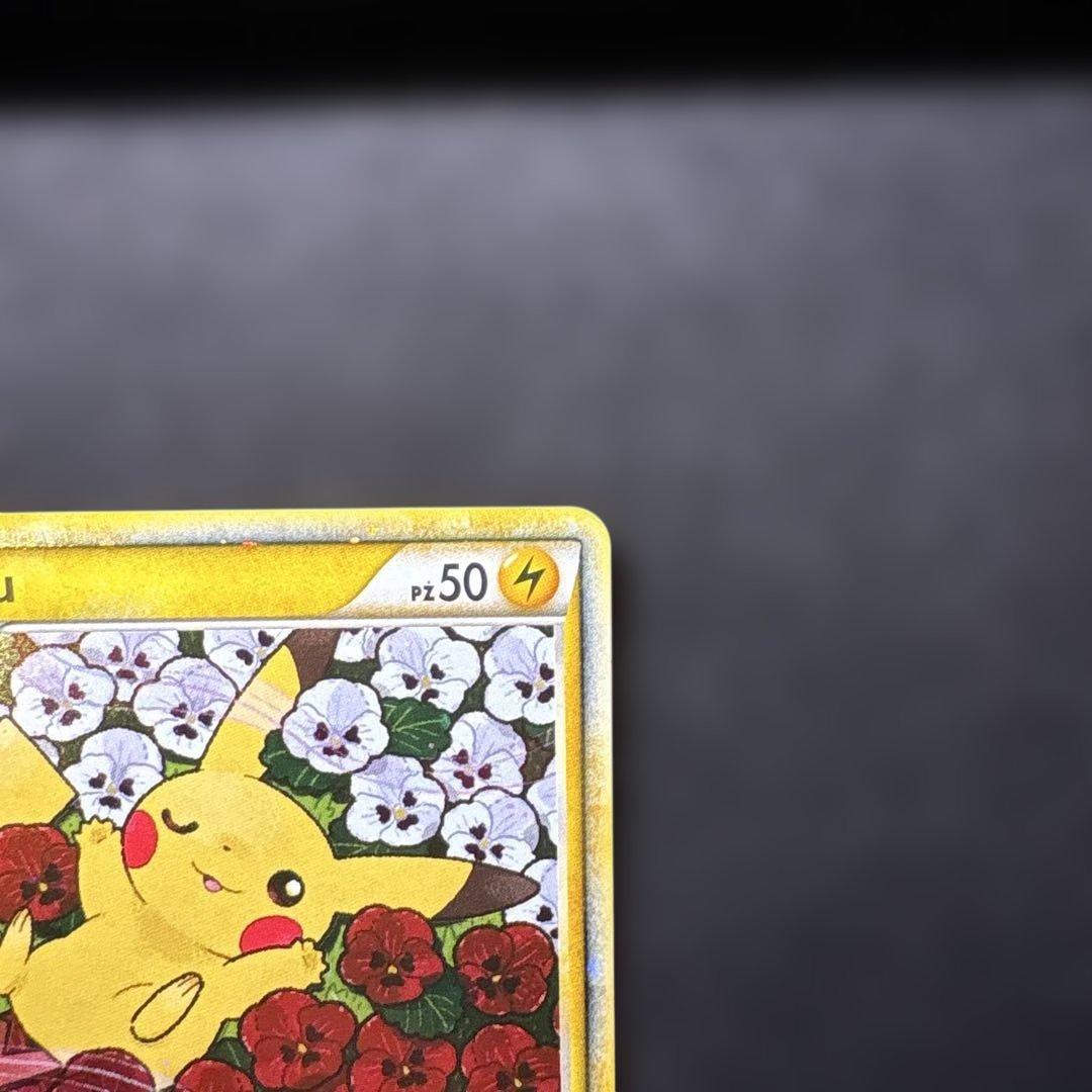 ピカチュウワールド　ピカチュウ　ポーランド