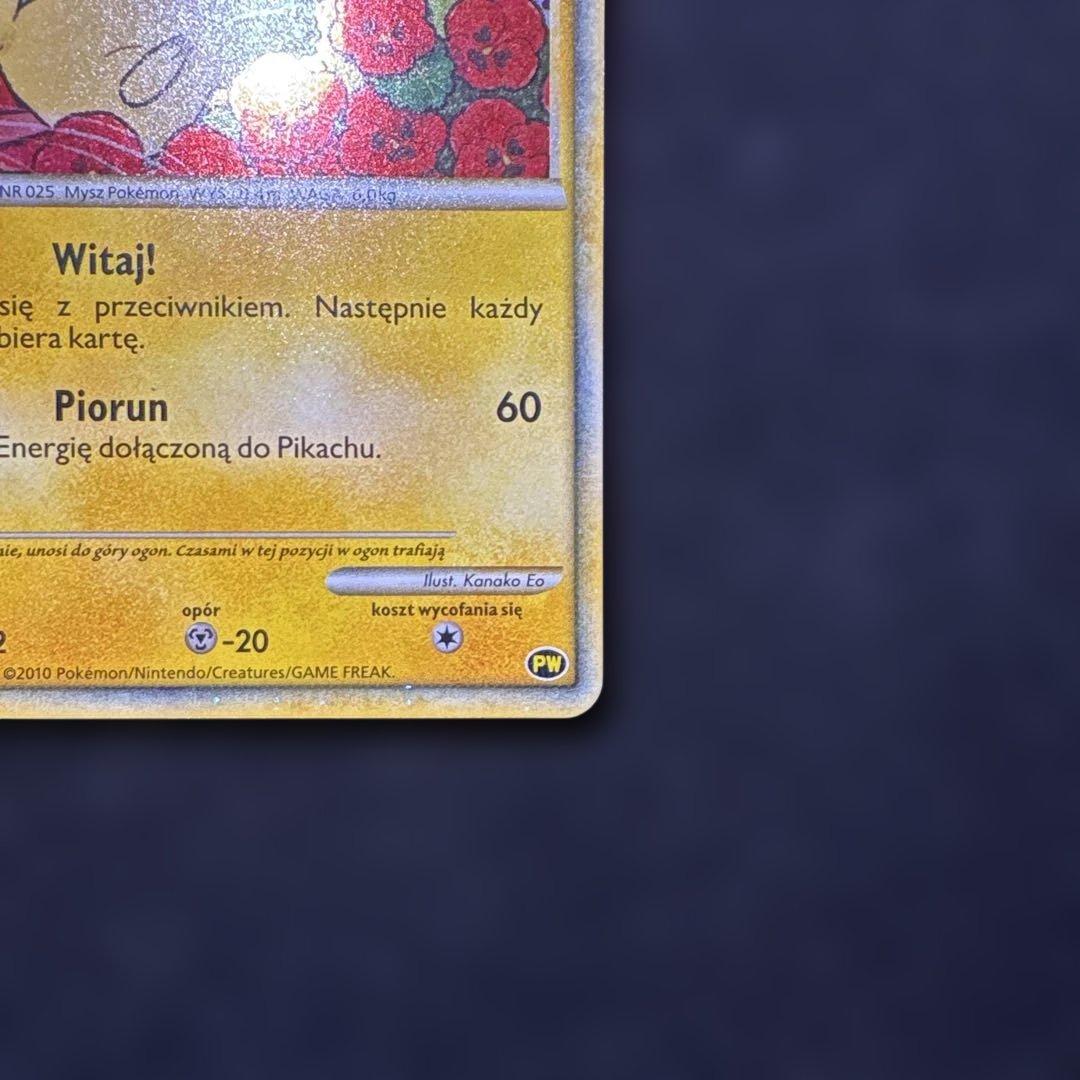 ピカチュウワールド　ピカチュウ　ポーランド