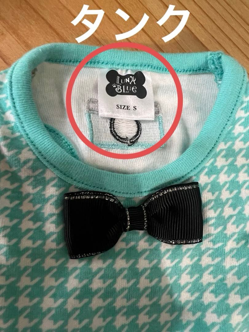 レア！ルナブルー　Woofanny & Co. カメラ犬服