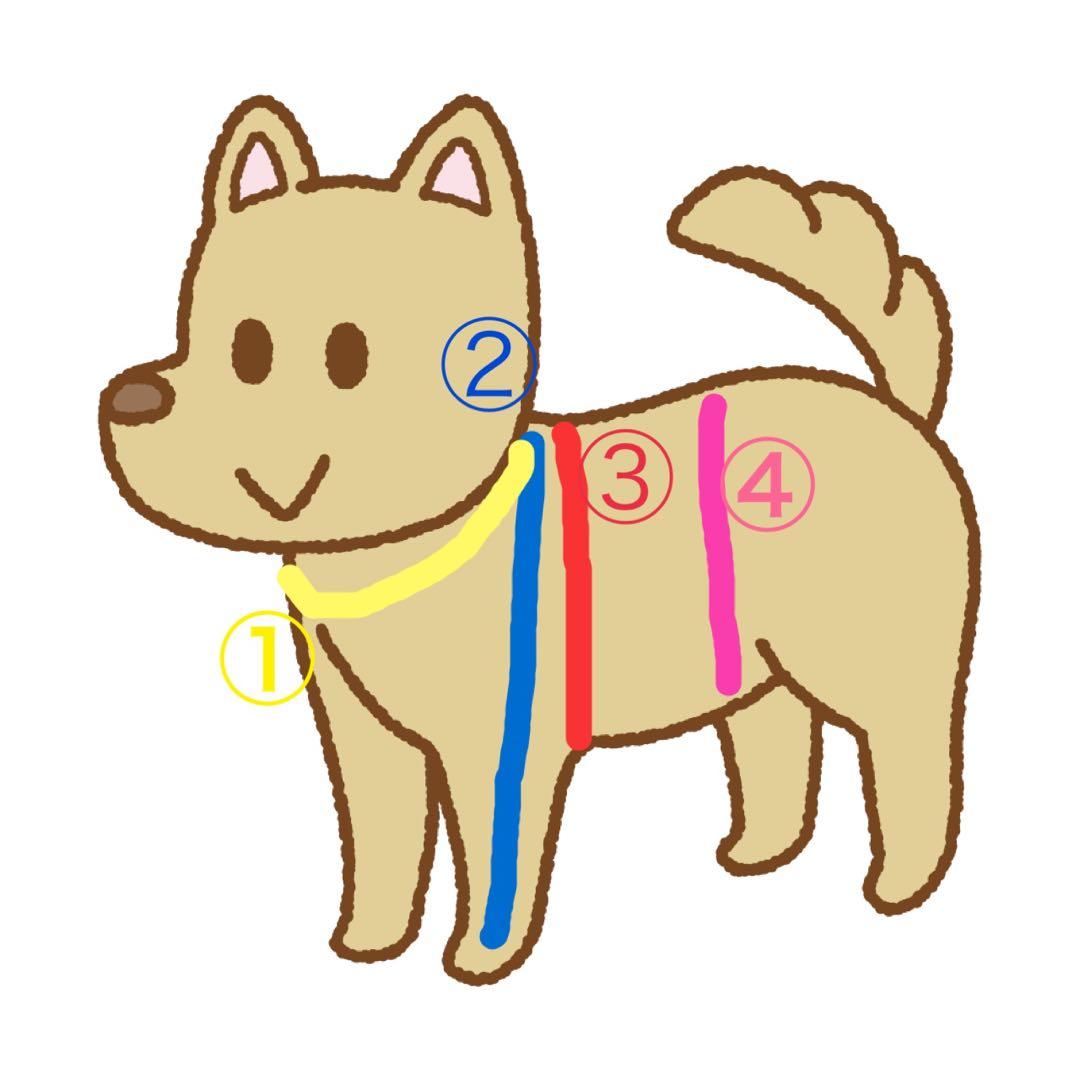 【ジャッピ〜】相談中