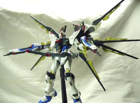 MG2体セット ストライクフリーダム デスティニー / ガンプラ塗装済完成品