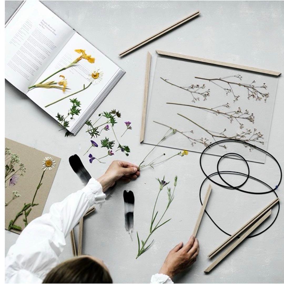 MOEBE ムーベ フレーム A2 ブラック