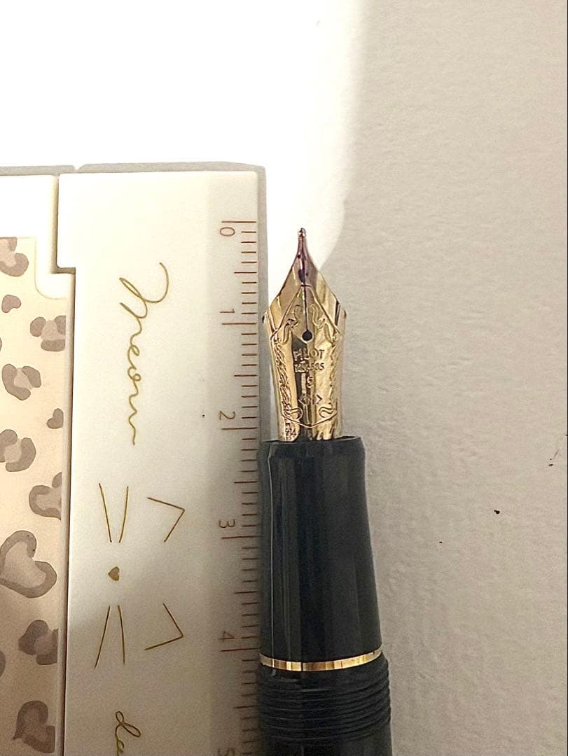 黒い万年筆 ペン先14k