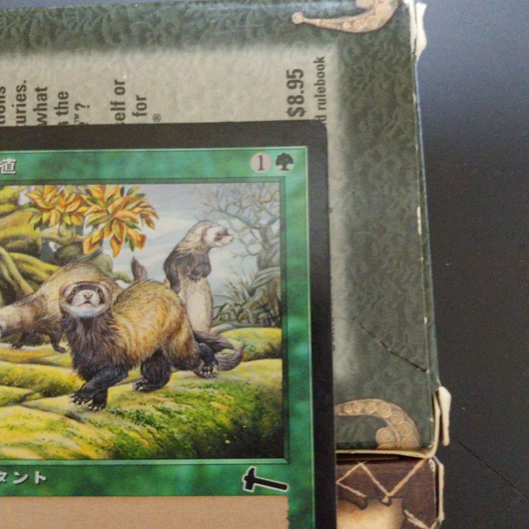 MGT 再入植 日本語 インスタント Foilカード キラ 箔押し プレミアム