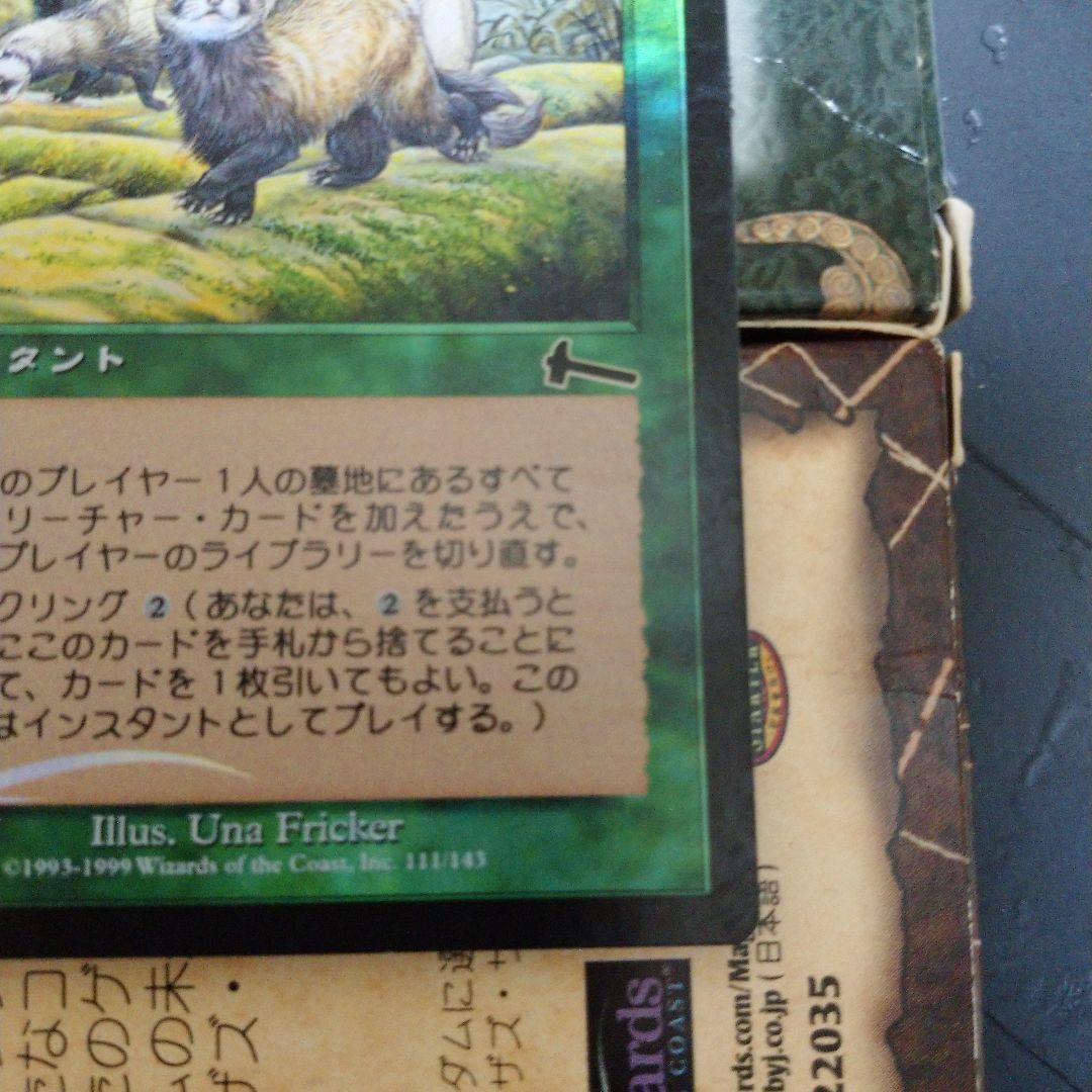 MGT 再入植 日本語 インスタント Foilカード キラ 箔押し プレミアム