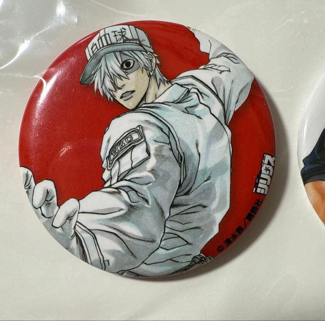 はたらく細胞 非売品 缶バッジセット