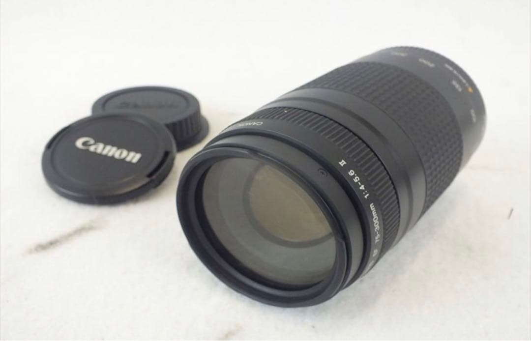 動作品☆キャノン☆CANON EF 75-300mm F4-5.6 II