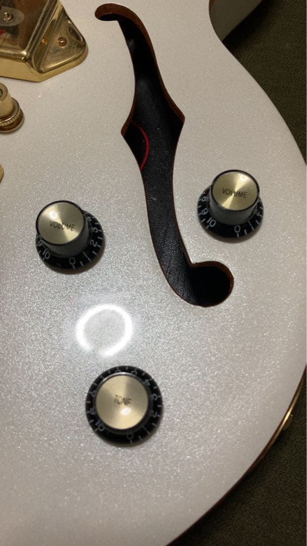 ね子さま専用Epiphone wildkat エピフォン ワイルドキャット