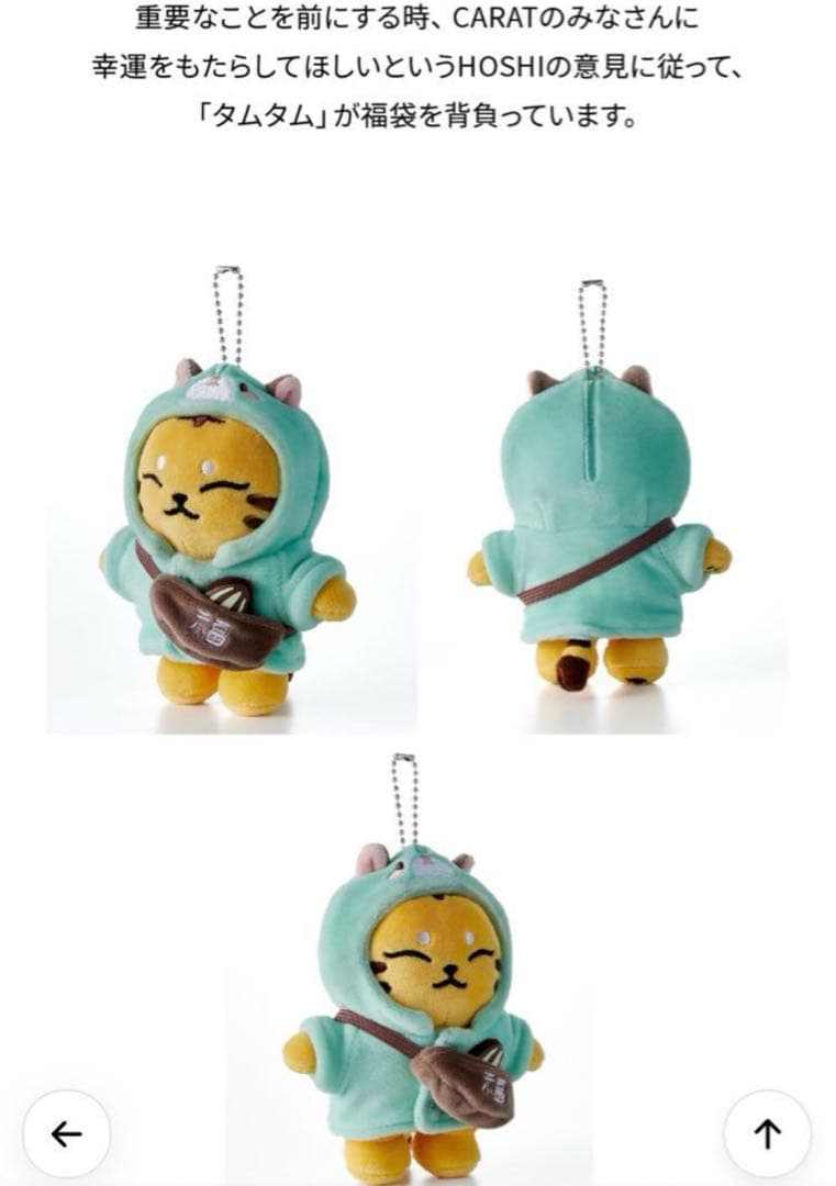 SEVENTEEN アーティストメイド ホシ タムタム