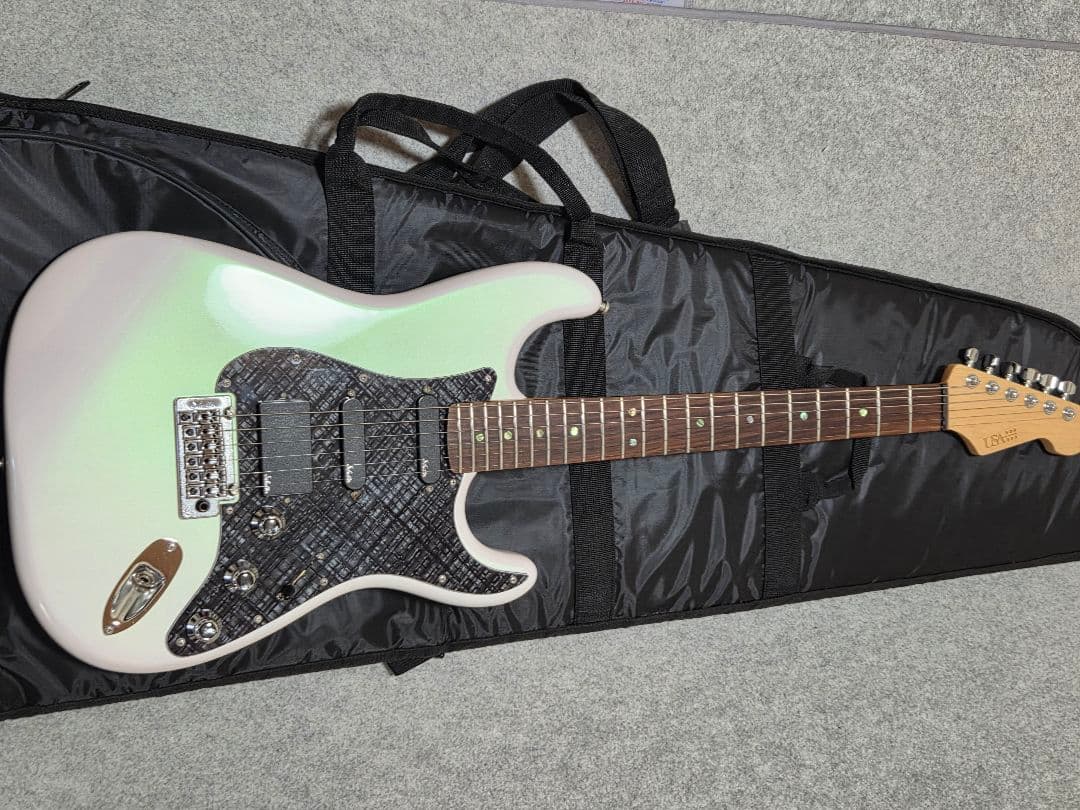 コンポーネントエレキギター T’s Guitars　USACG　Fender