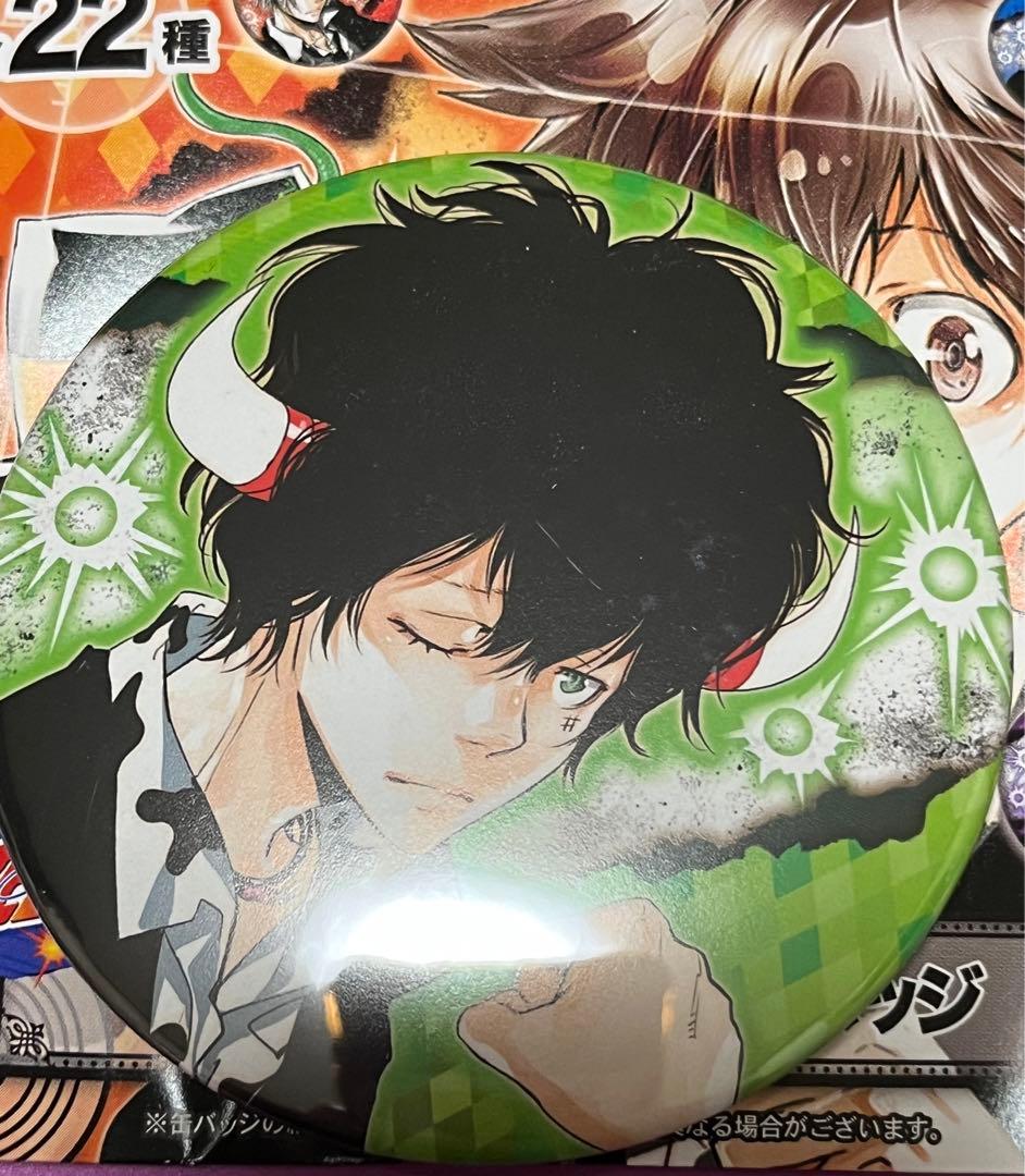 家庭教師ヒットマンREBORN コレクション缶バッジ ランボ