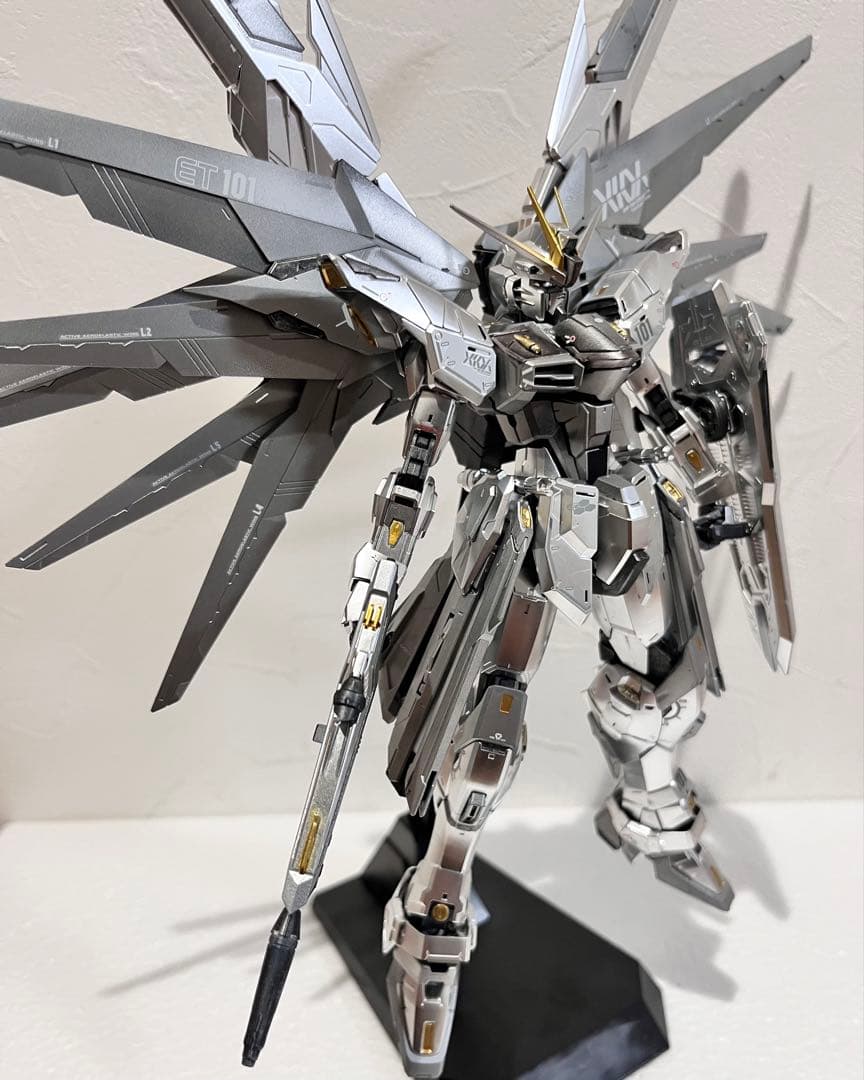 MG フリーダムガンダム Ver2.0 シルバーコーティング 塗装済 完成品