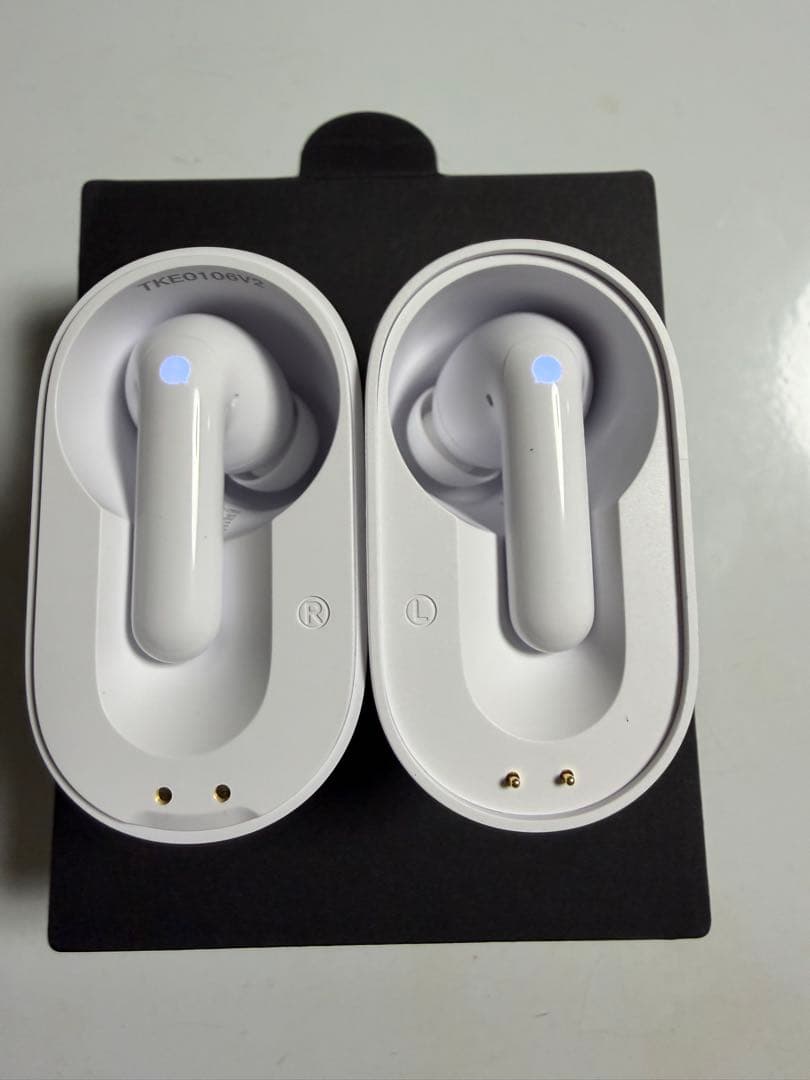 Timekettle M3 Translator Earbuds 翻訳イヤフォン