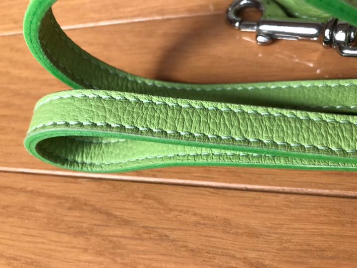 中型犬用カラー&リード