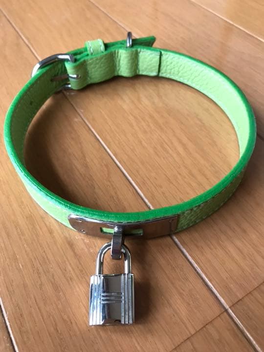 中型犬用カラー&リード