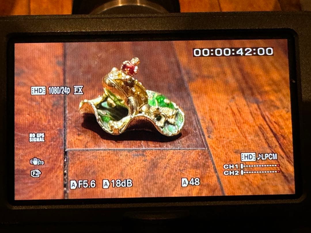 SONY ソニー NEX-FS100JK NXCAM カムコーダー