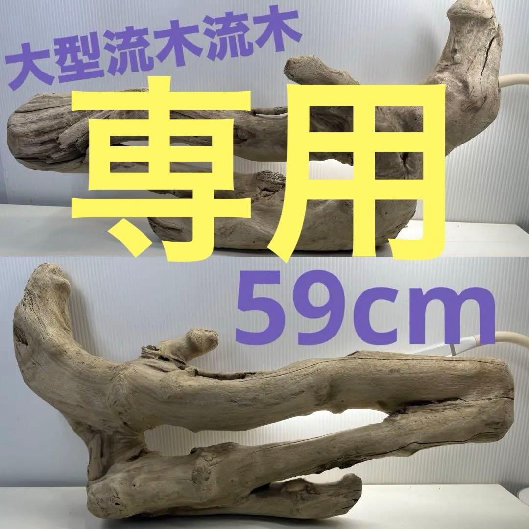 k6大型流木 アク抜き済み 爬虫類シェルター レイアウト用 登り木 インテリア