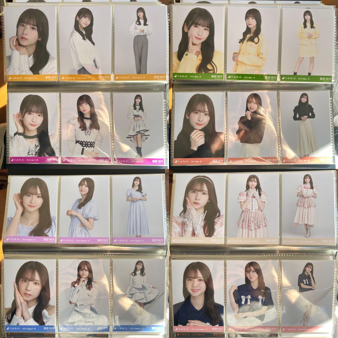 乃木坂46 菅原咲月 2024年月間ランダム 生写真 コンプ 37種 まとめ売り