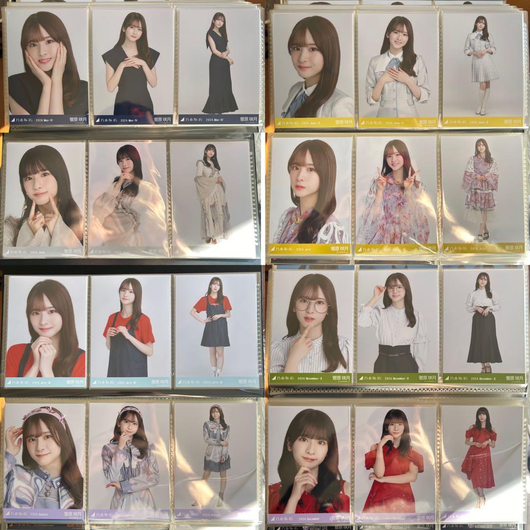 乃木坂46 菅原咲月 2024年月間ランダム 生写真 コンプ 37種 まとめ売り