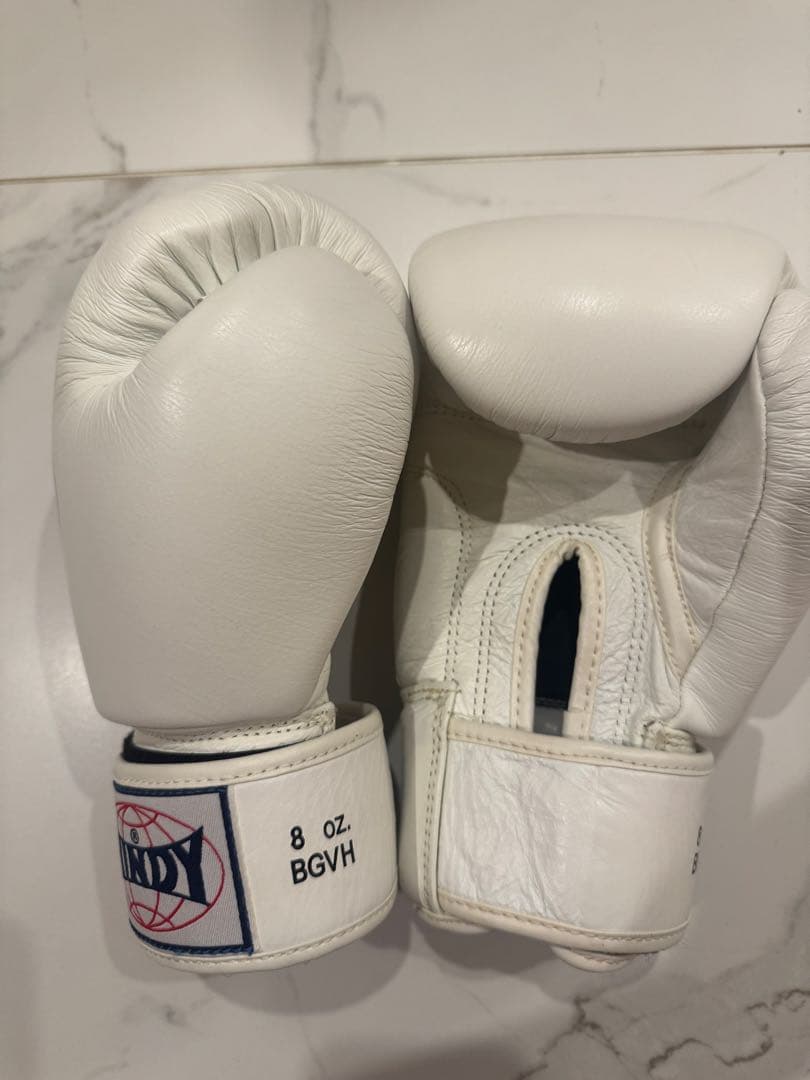 WINDY ボクシンググローブ 8 oz ホワイト