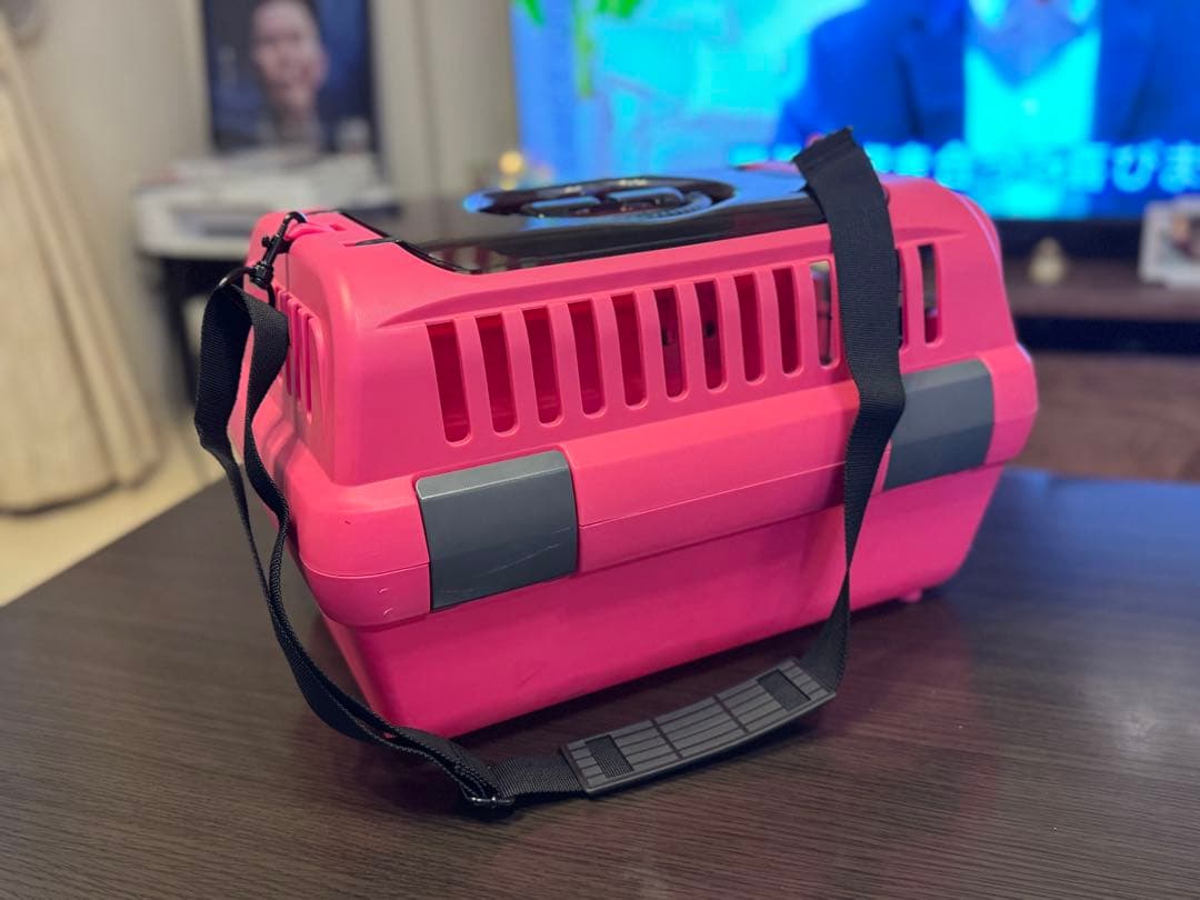 リッチェル　ペットキャリー　肩ベルト付き　中古