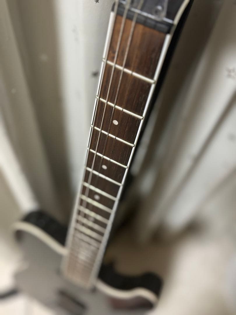 FERNANDES TEJ-STD STANDARD 2S テレキャスター