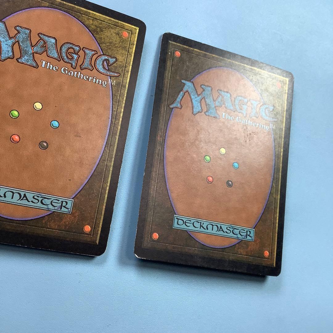 *バラ売り可* 適者生存　 EXO日本語2枚セット