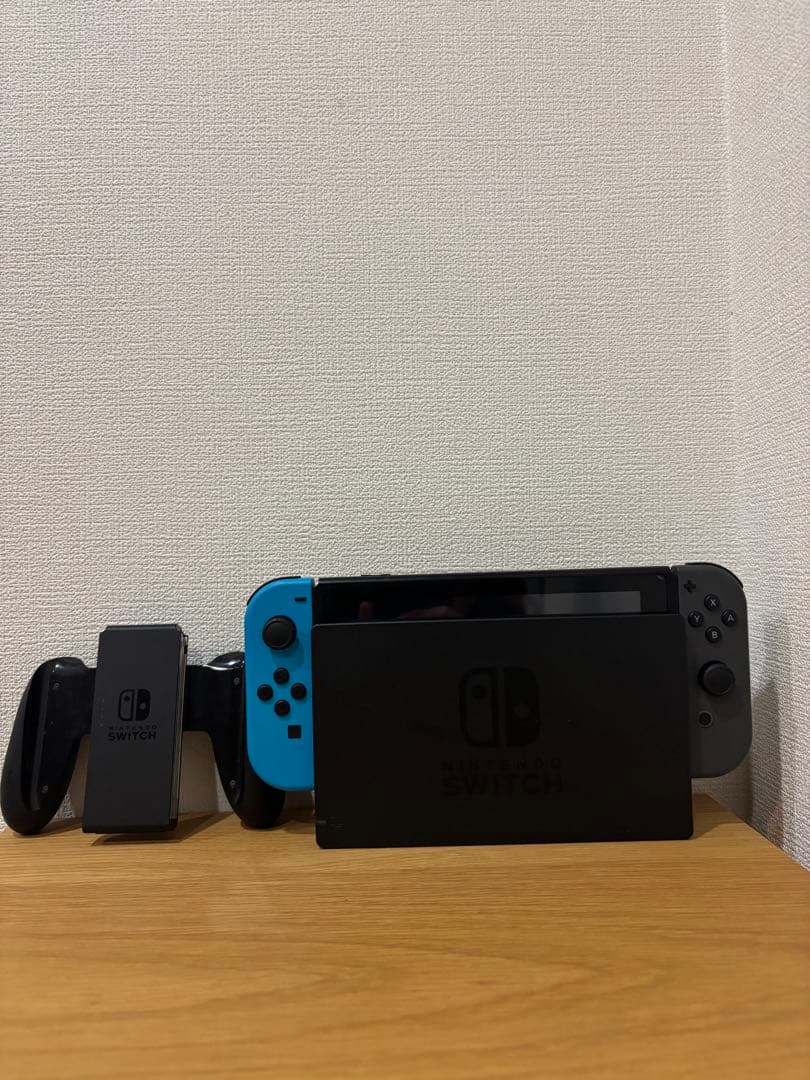 Nintendo Switch グレー ケース付
