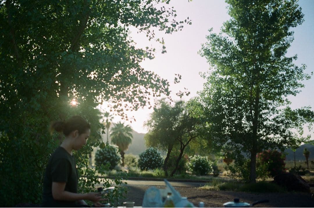 【完動品】Canon AE-1 PROGRAM / FD 50mm F1.4