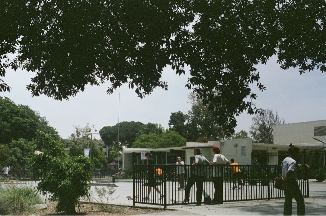 【完動品】Canon AE-1 PROGRAM / FD 50mm F1.4