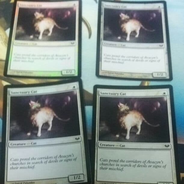 聖所の猫 英語版 foil ４枚セット