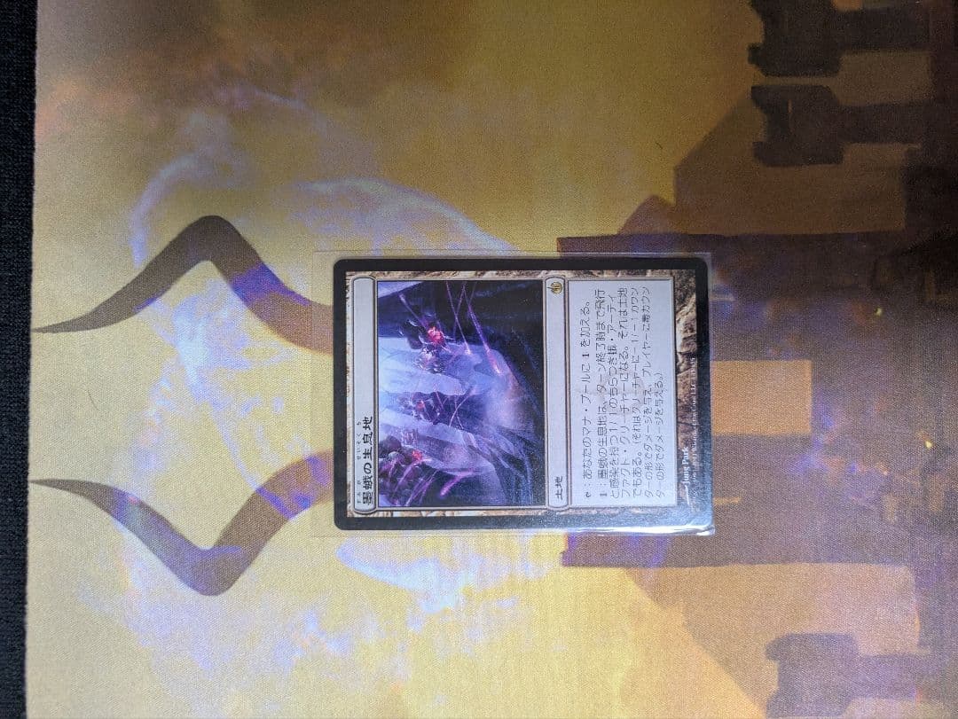 Magic: The Gathering トレーディングカード 資産フルセット