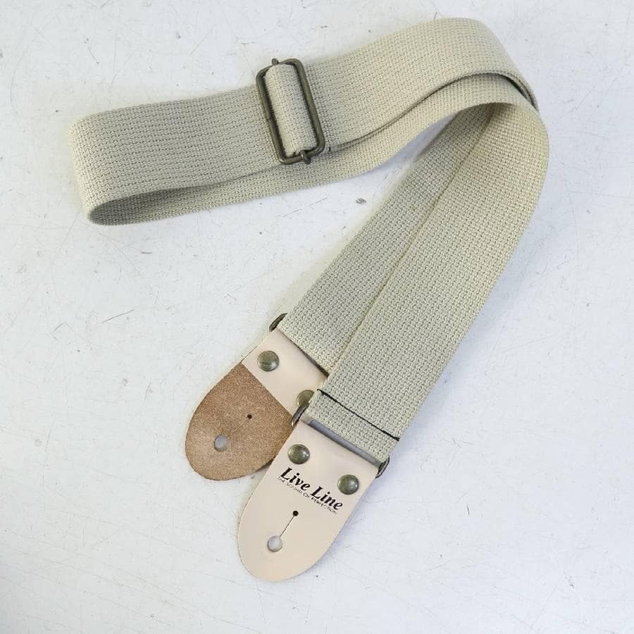 KaiKai様買い直し専用 美品 ポールリードスミス SE Custom 24