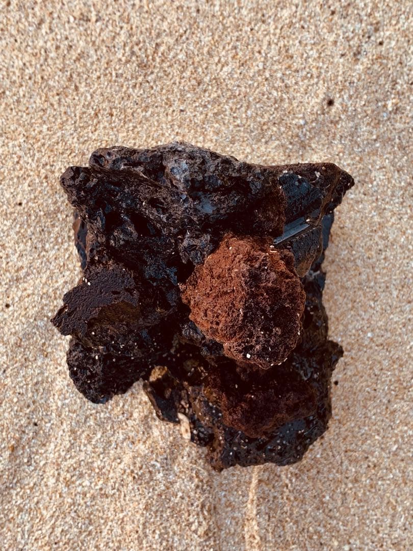 荒崎海岸デザイン溶岩　ピクシーシュリンプ海水魚　水槽　溶岩石レイアウト　濾過