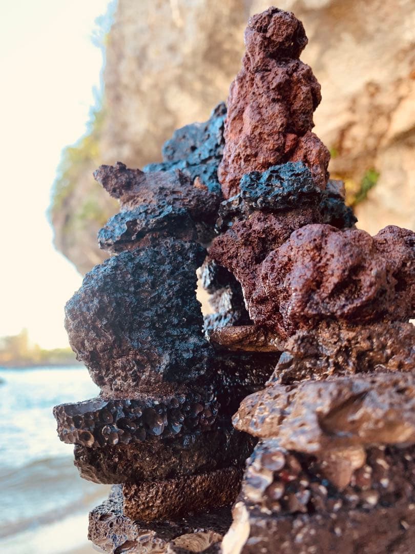 荒崎海岸デザイン溶岩　ピクシーシュリンプ海水魚　水槽　溶岩石レイアウト　濾過