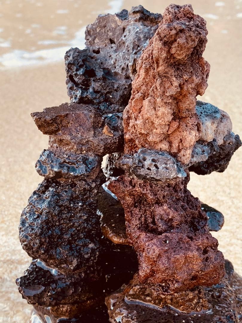 荒崎海岸デザイン溶岩　ピクシーシュリンプ海水魚　水槽　溶岩石レイアウト　濾過