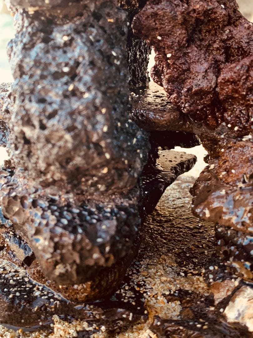 荒崎海岸デザイン溶岩　ピクシーシュリンプ海水魚　水槽　溶岩石レイアウト　濾過