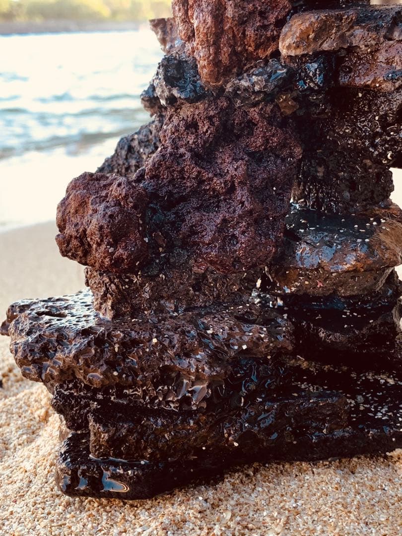 荒崎海岸デザイン溶岩　ピクシーシュリンプ海水魚　水槽　溶岩石レイアウト　濾過