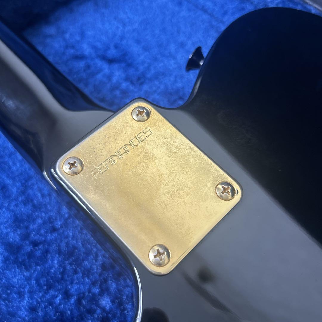 フェルナンデス　TEJ-55 カスタムMOD