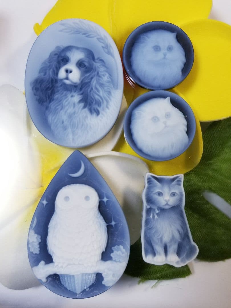 ムジョミ　カメオルース5枚