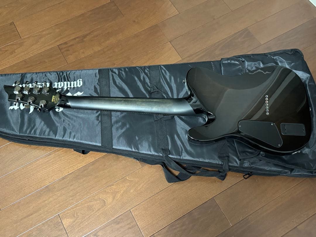 ギター SCHECTER HELLRAISER HYBRID PT-7