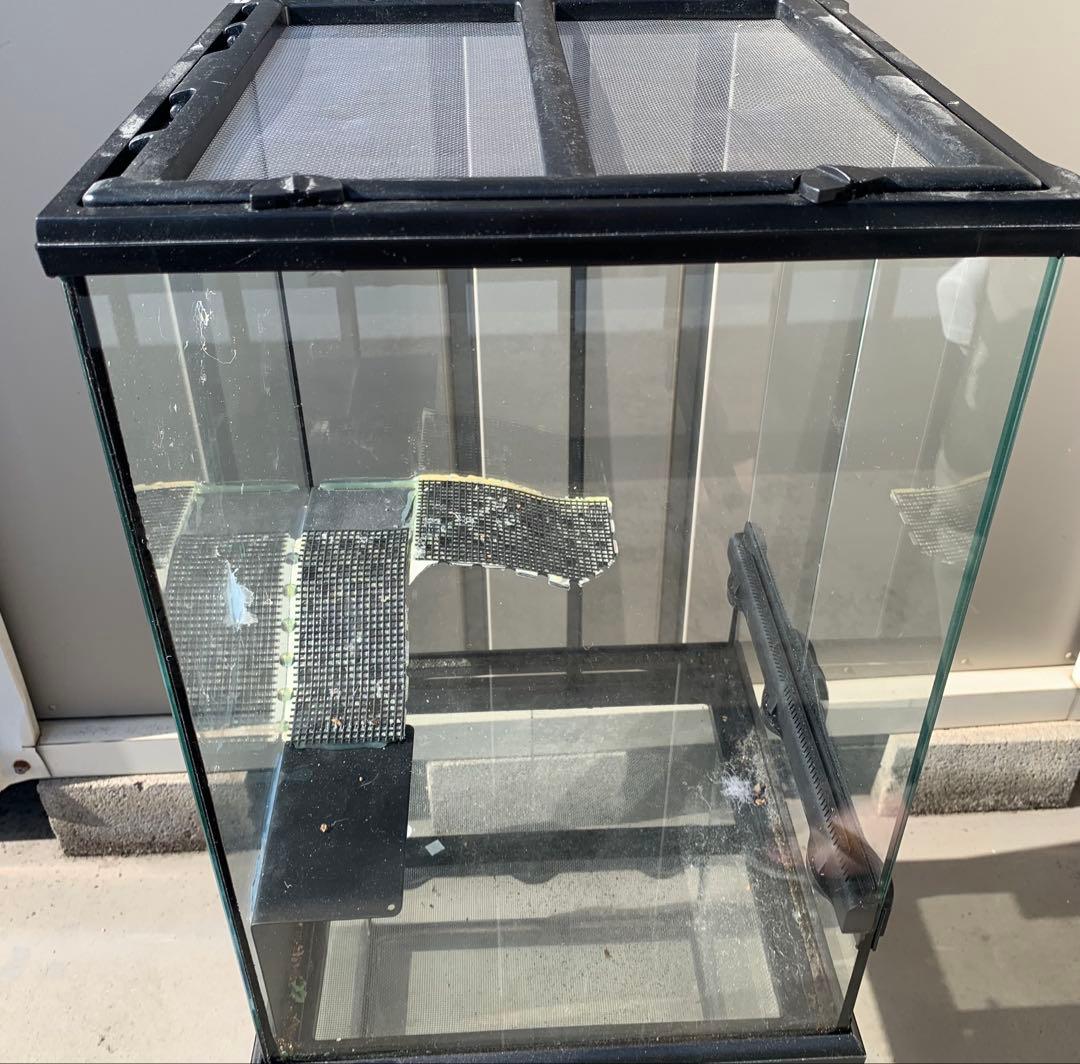 エキゾテラ　グラステラリウム　3045 レイアウト仮組み　生体未使用品