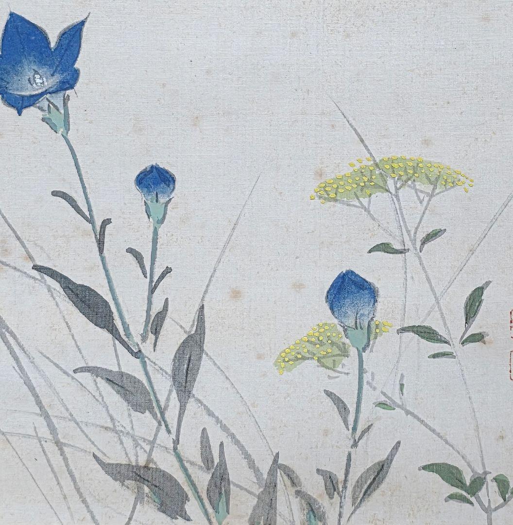 【秋草(桔梗に虫)図】今井景樹 2715 掛け軸 共箱 肉筆 秋掛け