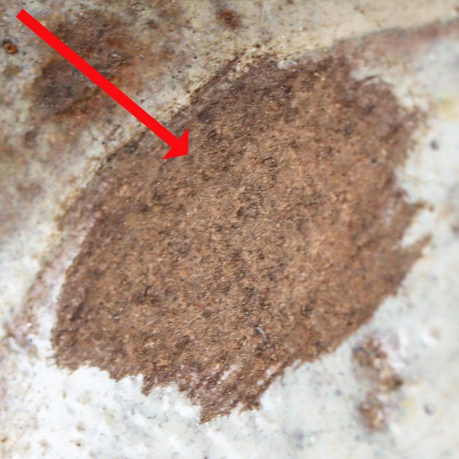 高取焼 茶碗 茶道具 仕覆 箱付