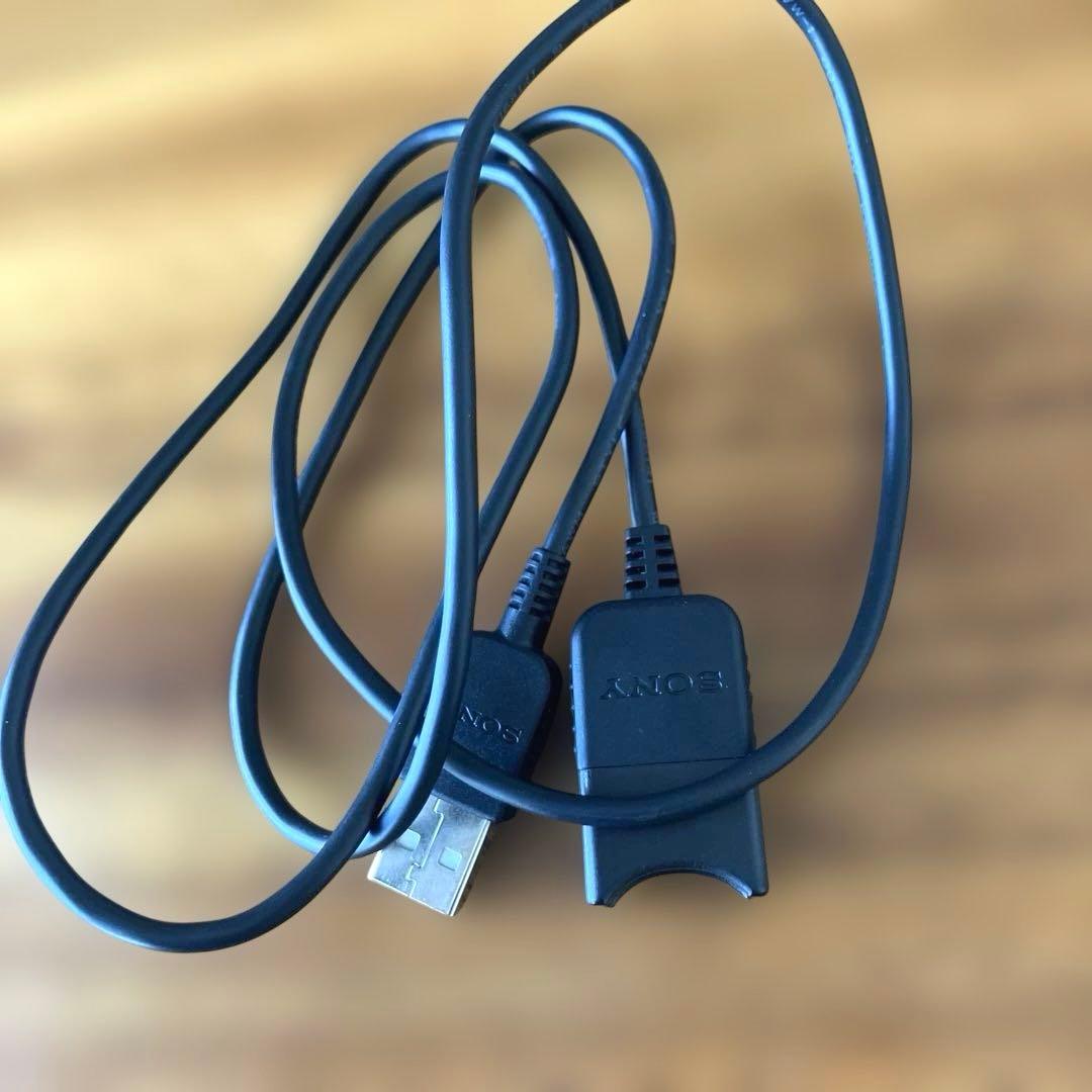 SONY ハンディカム HDR-CX485 セット（動作確認済み・初期化済み）