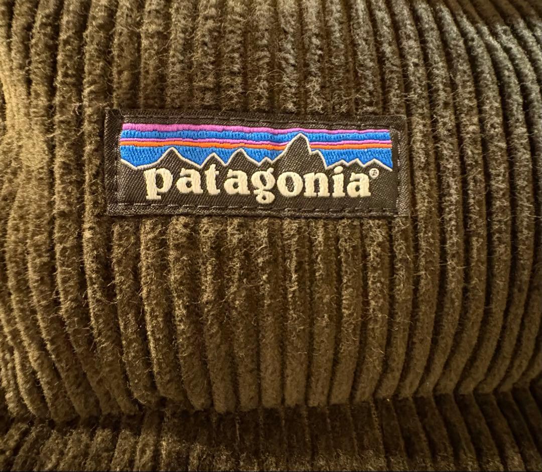 パタゴニアPatagoniaリバーシブルダウンベストXL