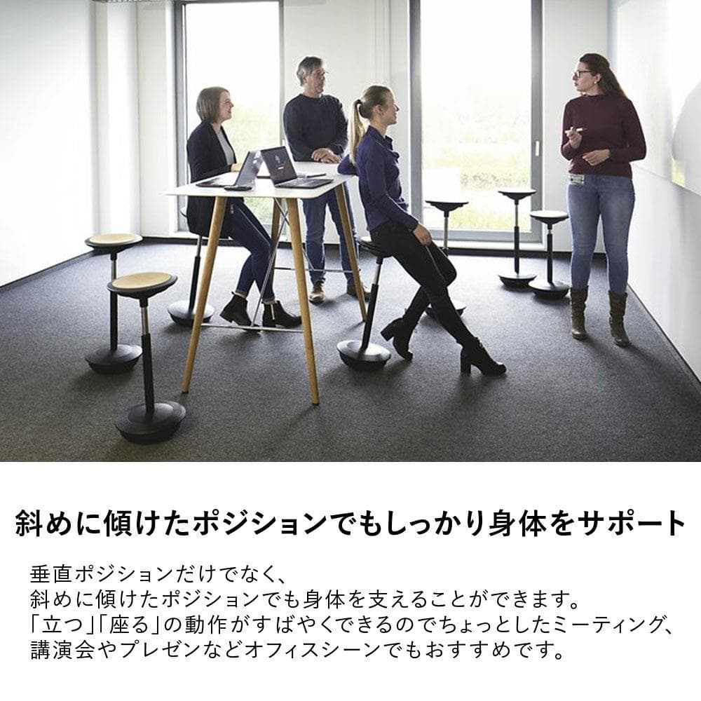 【Wilkhahn Stitz スティッツ】バランススツール ドイツデザイン美品